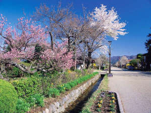 【たくみの里】春の須川宿。旧三国街道の宿場町だった場所。資料館では参勤交代の資料等が見られる。