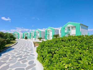 �I�[�V�����r���[�G���A