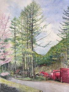 桜咲く桜清水コテージ
