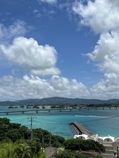 テラスからの景色