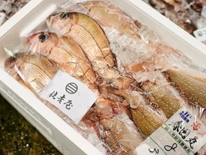 その日の競りで仕入れた、鮮度自慢の鯛