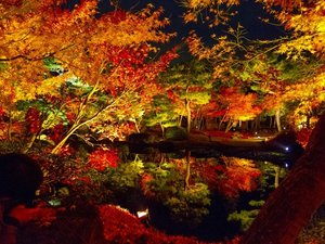 日本庭園、由志園。紅葉のシーズンには、美しく色づいた庭園を楽しむことができます。
