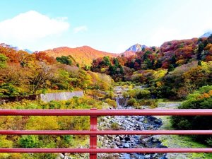 秋の大山元谷は辺り一面が鮮やかに色づき、紅葉狩りを楽しむことができます
