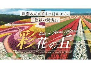 東京ドイツ村