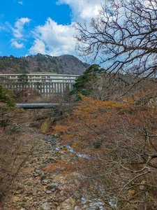 �q������̕��i