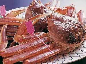ف@c̎{ݎʐ^1