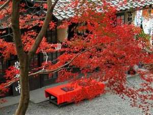 秋月城址「黒門」の紅葉