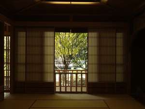 【もみじ】