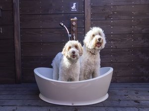 ペット用お風呂