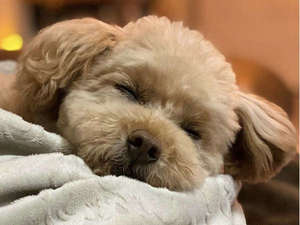 【大阪・梅田の観光旅行におすすめのビジネスホテル】東横イン梅田中津2