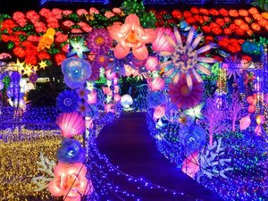 【周辺観光】伊豆高原グランイルミ(当館から車で約9分)