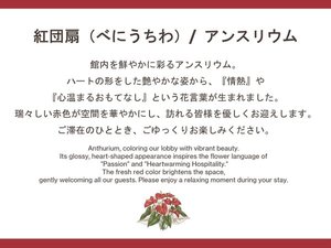 現在の生花:アンスリウム