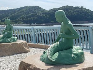 �y�l���̑��z���S��u��`���̐l���̑�