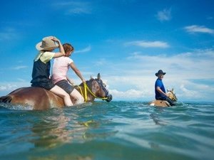 海と馬が織りなす、夏だけの特別な体験を。淡路島の美しい海へ、馬とともに踏み出すマリンライド。