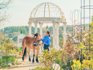 四季折々の自然とともに、馬と過ごす特別なひとときを。