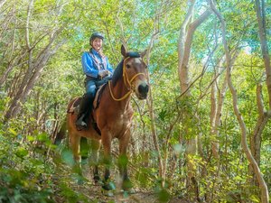 四季折々の自然とともに、馬と過ごす特別なひとときを。