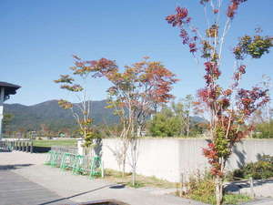 ���낻��F���n�߂܂�����