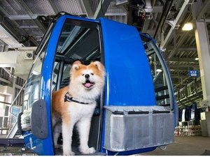 イチオシ紹介