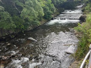 道路を挟んで当館前を流れる『藤木川』