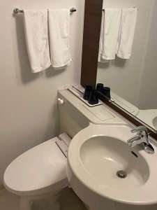�o�X���[��