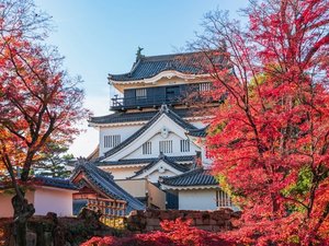 【当館から徒歩で10分】徳川家康が生まれた城として知られ、歴史資料館としても楽しめる「岡崎城」