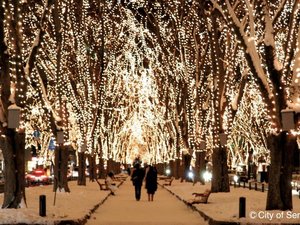 【光のページェント】12月、街を煌びやかに彩る冬のイベント 写真提供:仙台市観光課
