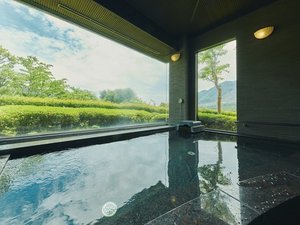 【温泉大浴場】「箱根十七湯」のひとつ:仙石原温泉