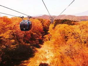 【箱根ロープウェイ】秋は紅葉の絶景をお愉しみいただけます(一例)