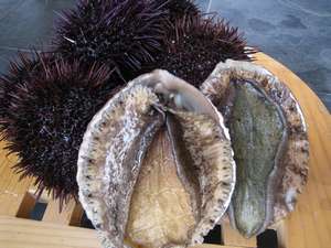 ��p�̌��鸂�H�ׂ�Ə�������������ƌ����Ă��܂��B