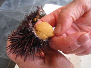 �E�j��H�ׂČ��C�������!!