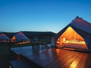 �y������:�k��B�zFOREST CAMP KOKURA