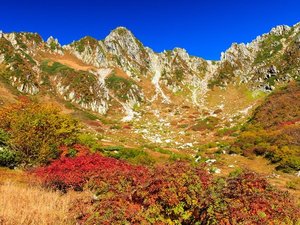 *千畳敷カール/紅葉の時期は圧巻!ナナカマドの赤やダケカンバの黄に染まる光景は、まるで絵画のよう!
