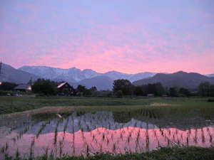 水田に移る夕焼け!!