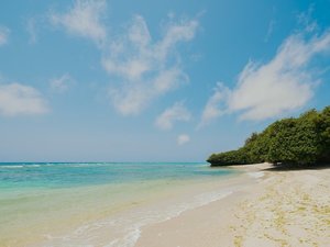 ホテルの近くのビーチで沖縄を満喫。