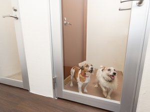 【ペットルーム】事前にご予約いただきますとご利用いただけます。