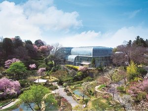 ◆高知県立牧野植物園「画像提供:高知県観光コンベンション協会」