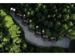 上空からのふじ・ふもとの森(昼)
