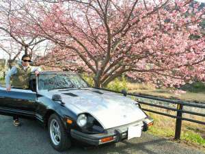 オーナーズコレクション★愛車のフェアレディZと河津桜