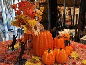 ハロウィン装飾をしています!
