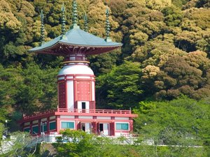 【当館から車で約35分】薬王寺