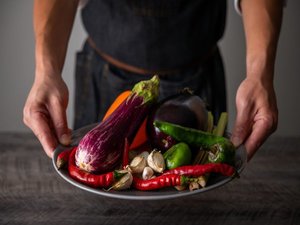 �T�̈�z�e�� ���E��i2026�N7��1���`�I�[���C���N���[�V�u�j�̎{�ݎʐ^1