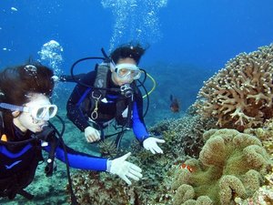 �̌��_�C�r���O�@�F�Ƃ�ǂ�̃T���S��M�ы��̊C�����E���y���ރ_�C�r���O�v���O���������ē��������܂��B
