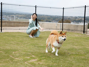 共用ドッグラン