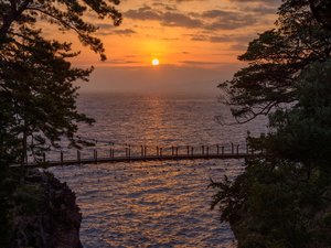 �y�郖��C�� ��e�苴�z���ق���ԂŖ�8��/�ʐ^�񋟁F�ɓ��s�ό���