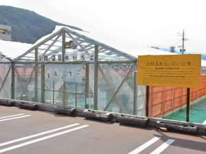 浅間温泉わいわい広場ではいちご摘みも楽しめます。