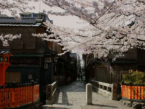 春の祇園白川