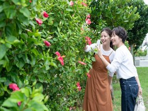 アメリカンな雰囲気!北谷町のアラハビーチ