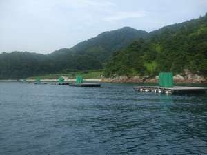 �`����߂��ł����ɂ��}���ɍs���܂��@�g�C���t���ł�