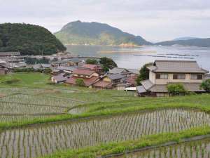 �y�I�c100�I�̈�������̒I�c�z6���̕��i