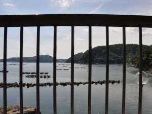 �y�I�[�V�����r���[�L�z�����J����Ζڂ̑O�͊C�I�I